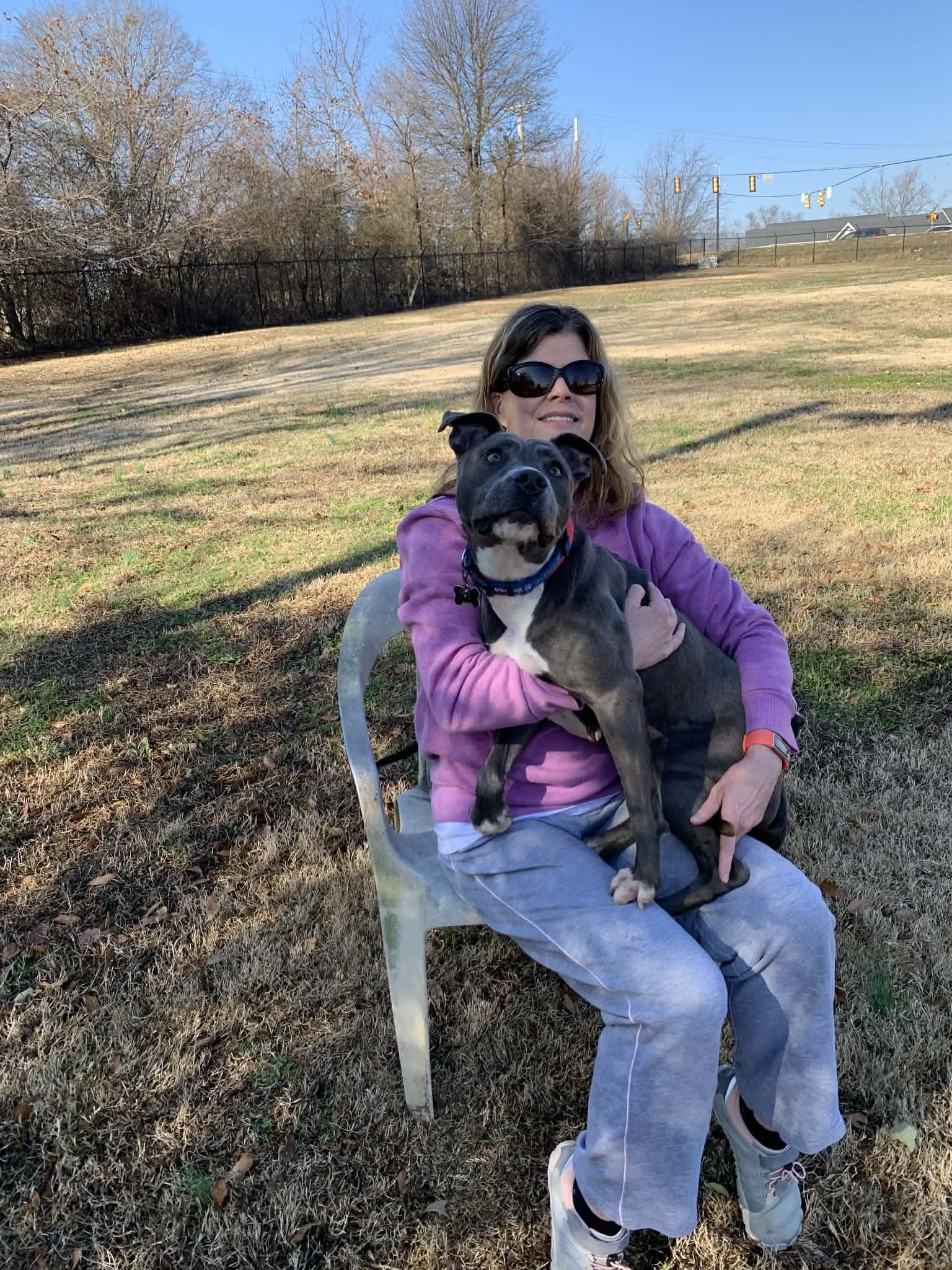 Enlarge Misty , a ADOPTABLE mixed breed in Douglas, MA image 5/6