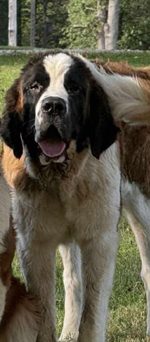 Hercules thumbnail 2