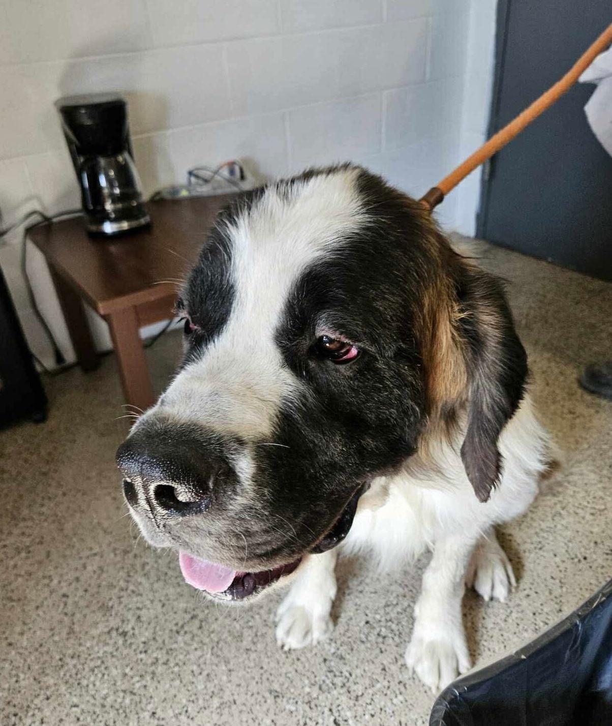 Hercules thumbnail 3