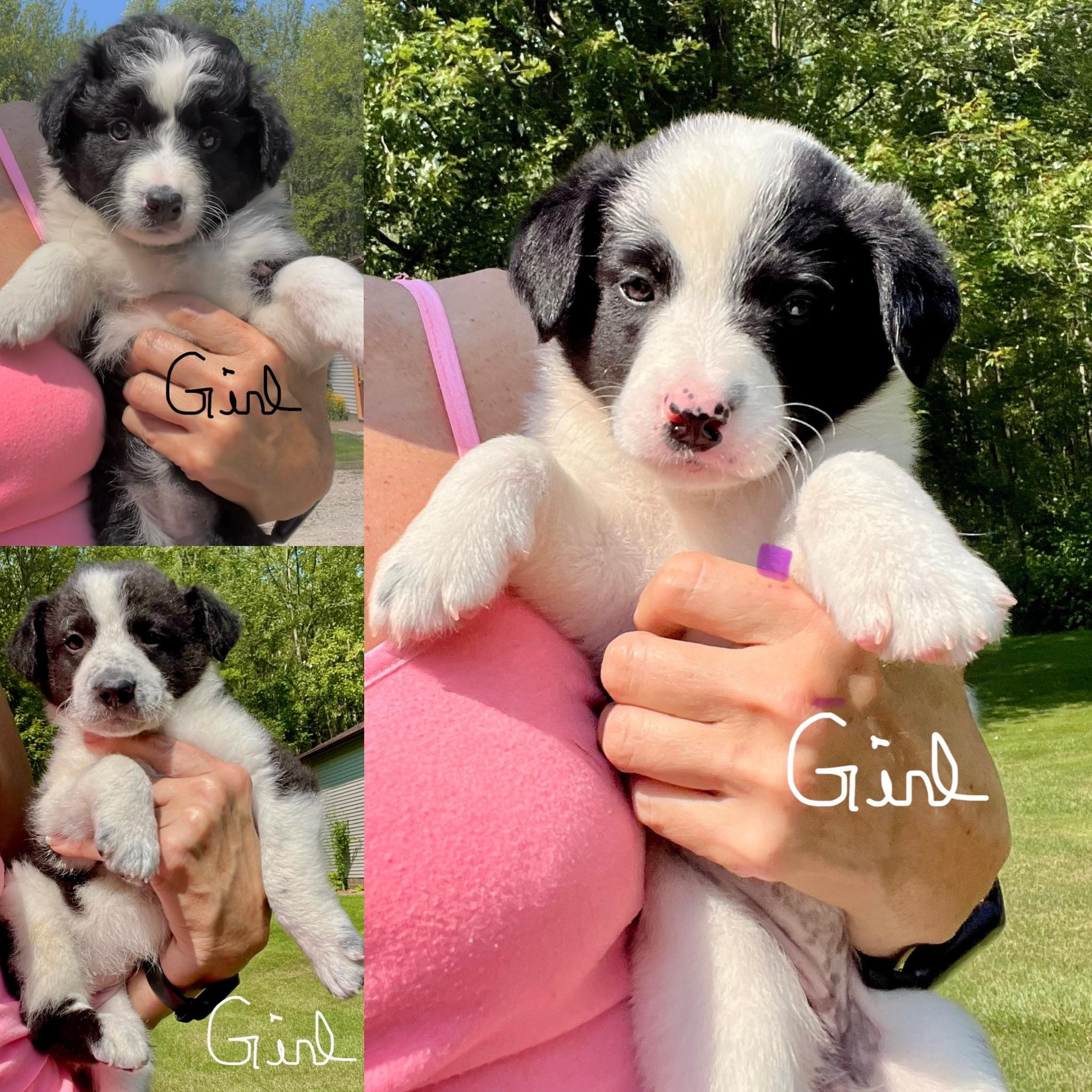 Ernie and his siblings photo 5