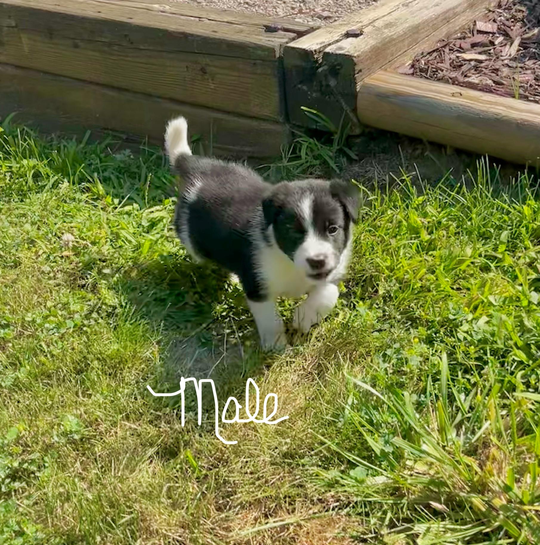 Ernie and his siblings photo 2