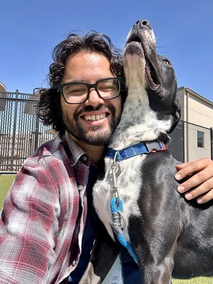 Enlarge Rock Star, a Adoptable mixed breed in Wichita, KS image 2/3