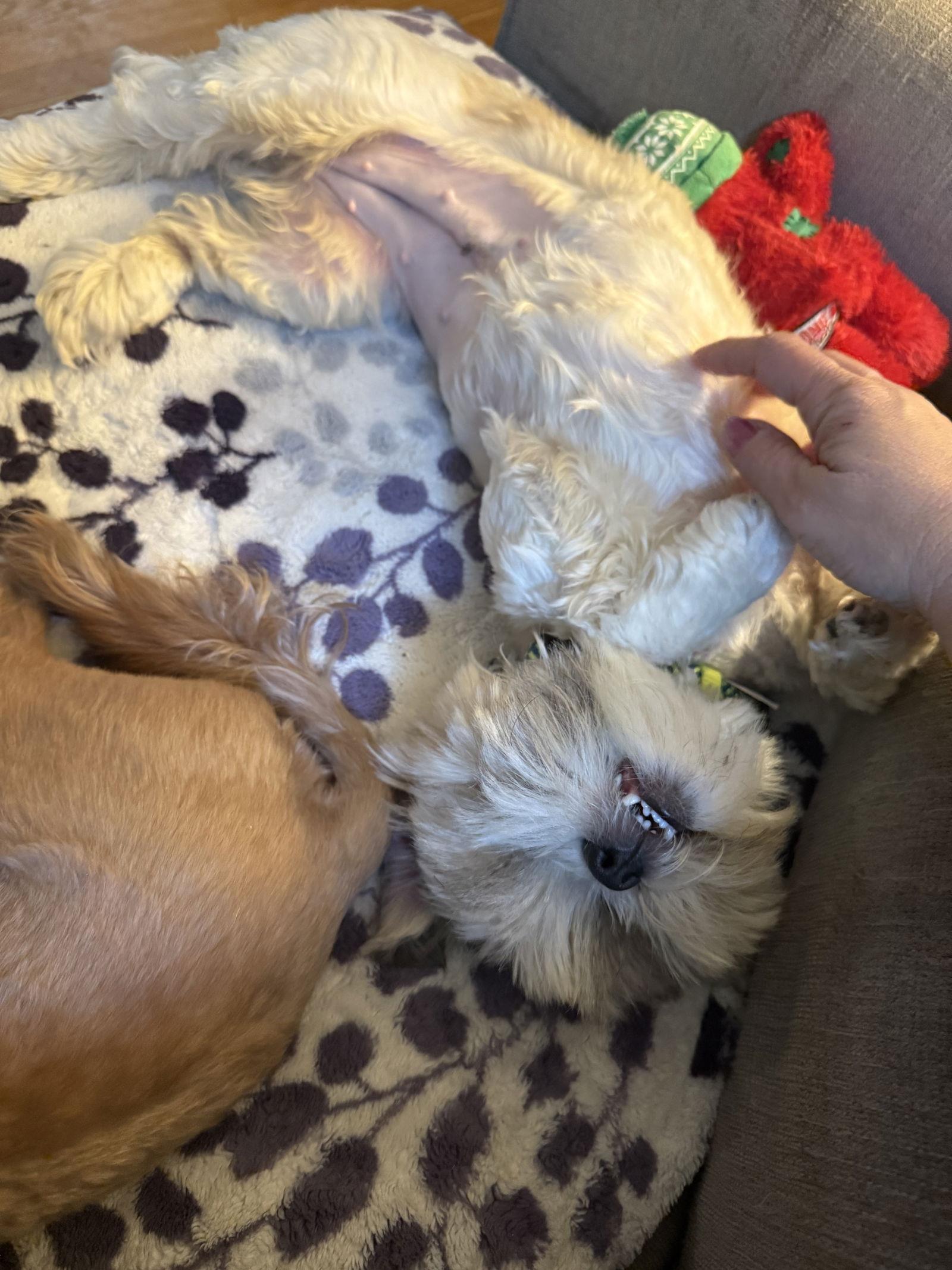 Valencia thumbnail 2