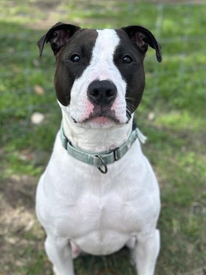 Stormy — thumbnail 3