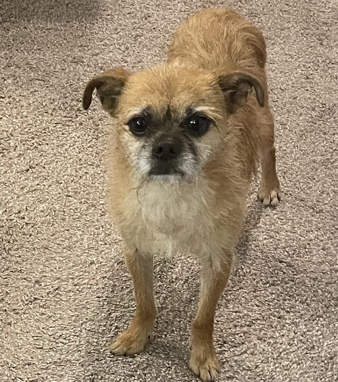 Artie (Arthur)