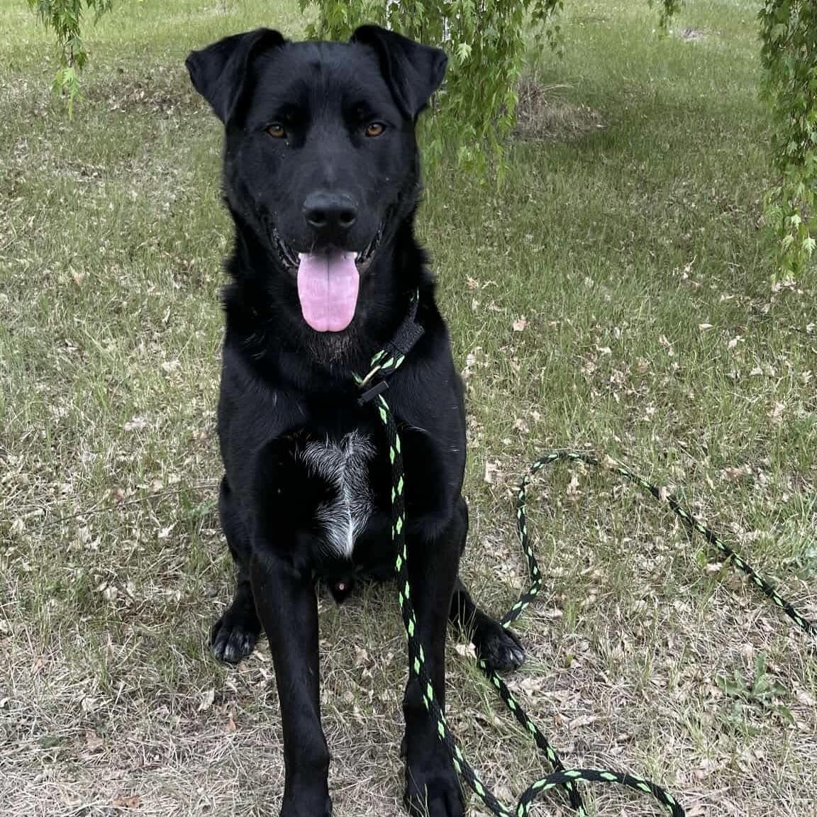 Vader photo 2