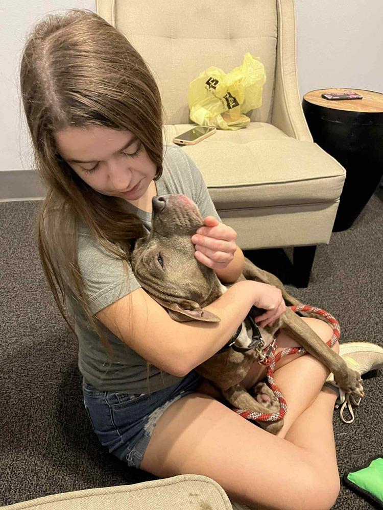 Sadie — thumbnail 5