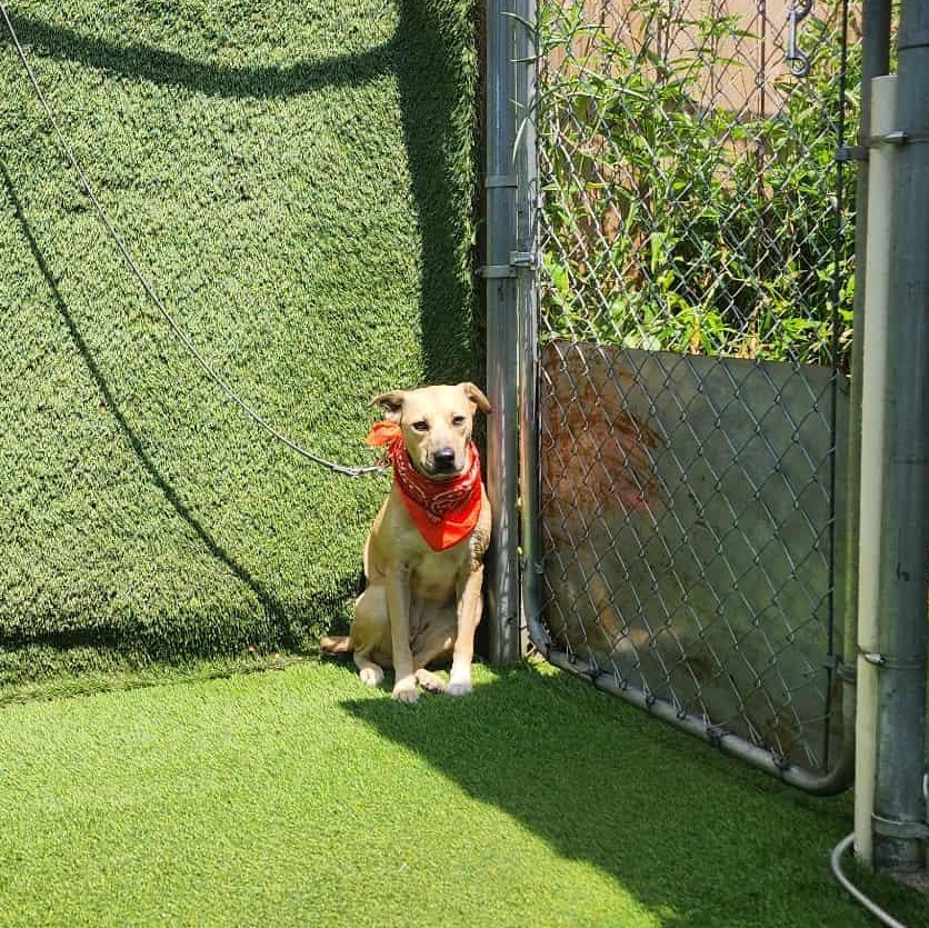 Wilma — thumbnail 3