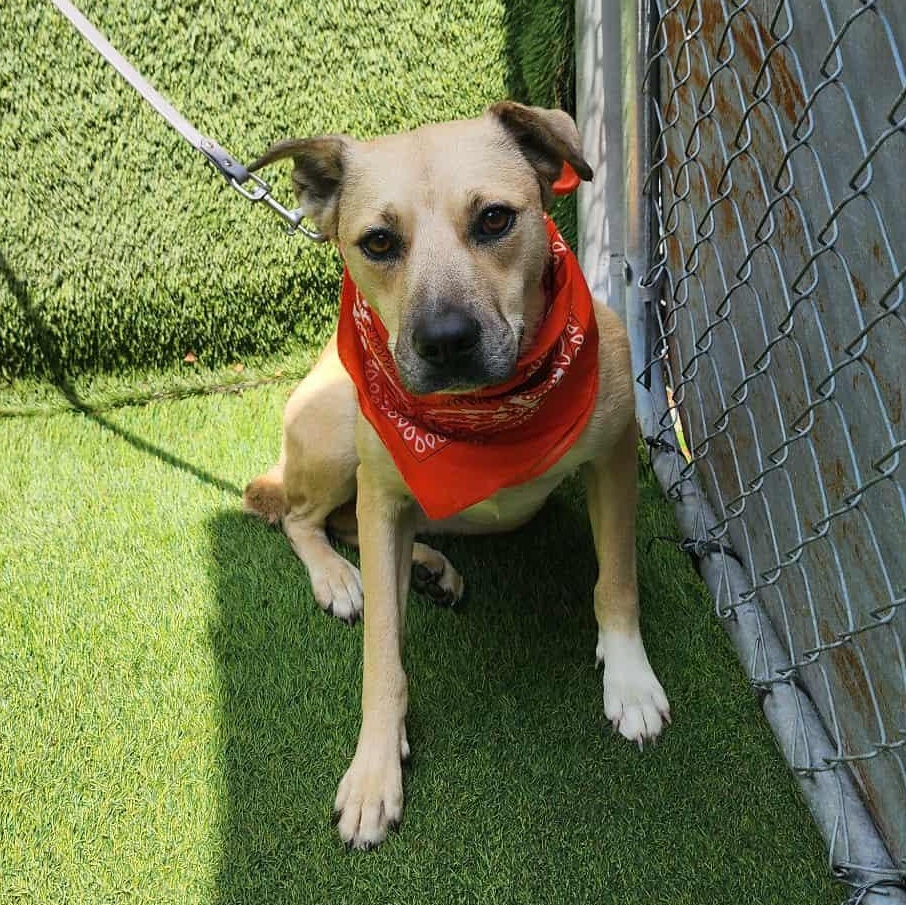 Wilma — thumbnail 4