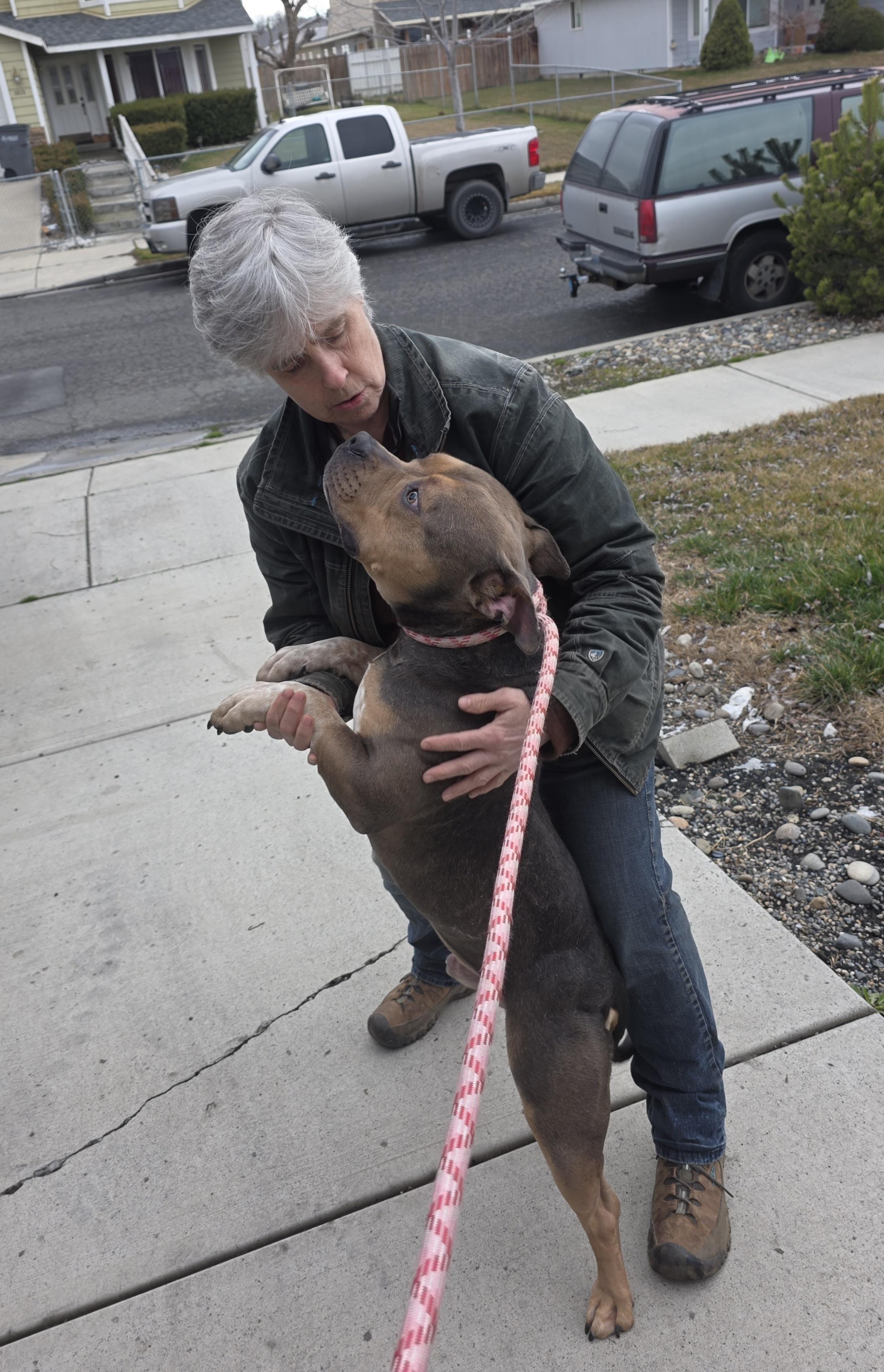 Enlarge Romeo, a ADOPTABLE mixed breed in Port Angeles, WA image 3/5