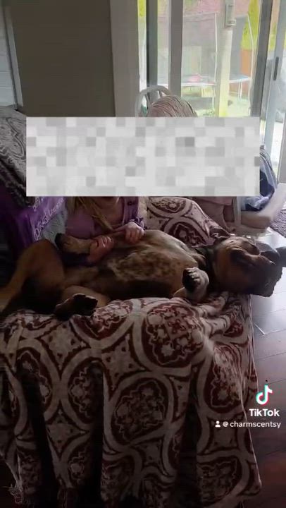 Enlarge Romeo, a ADOPTABLE mixed breed in Port Angeles, WA video 5/5