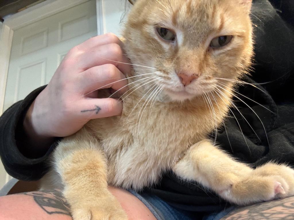 Champ — thumbnail 2