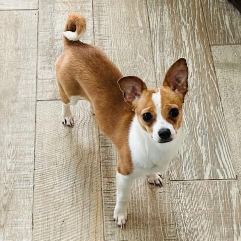 Louise Chi — thumbnail 2