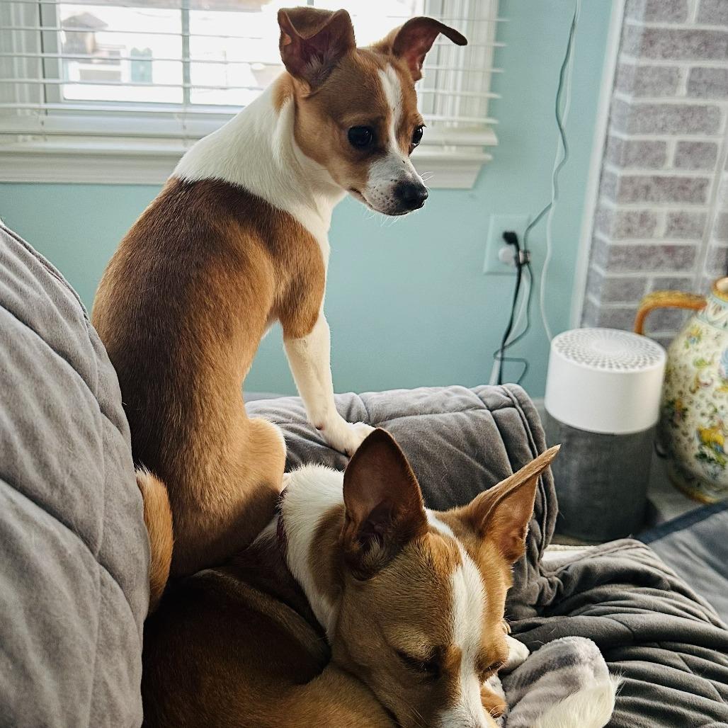 Louise Chi — thumbnail 4