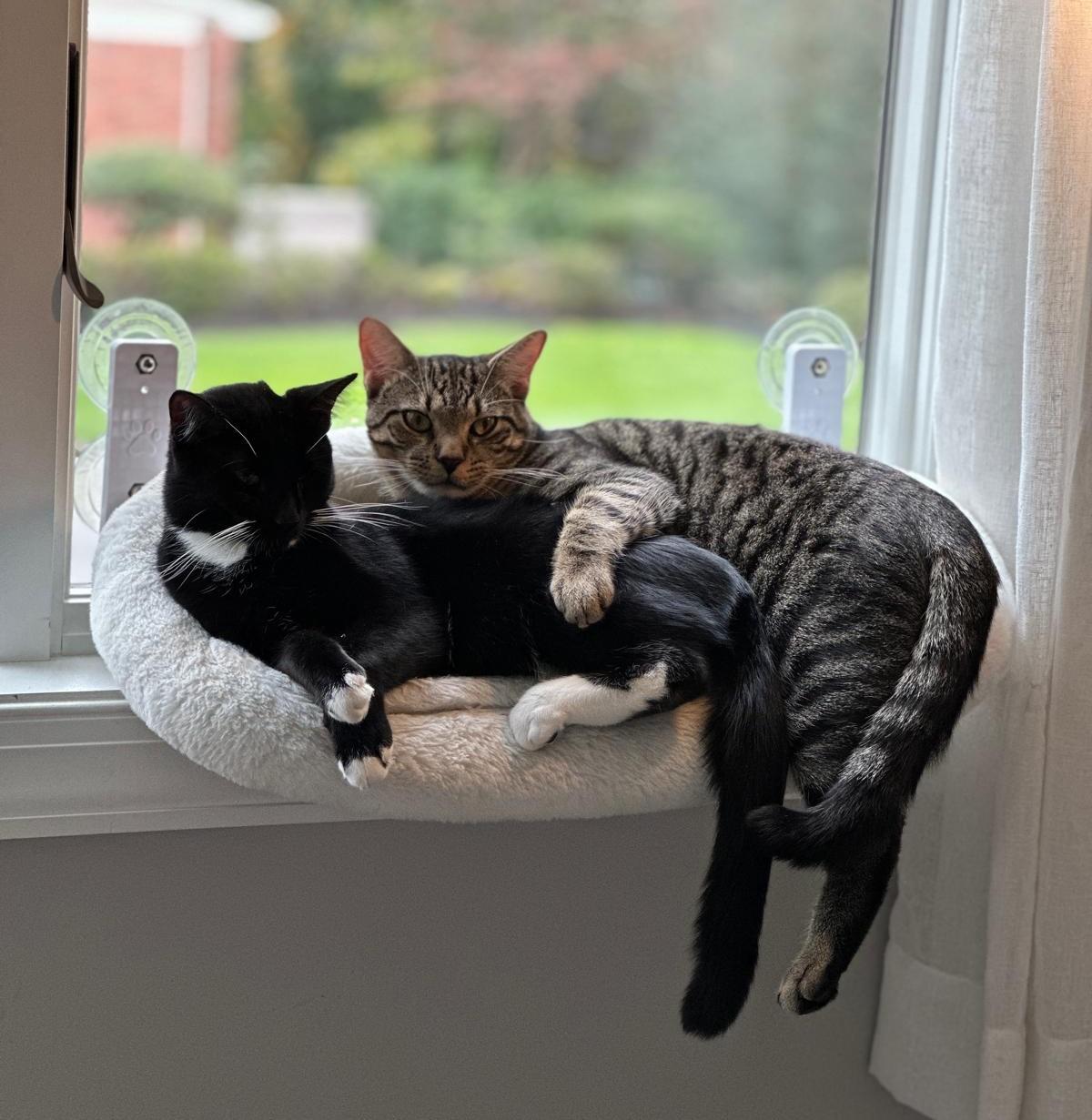 Archie & Oliver 3