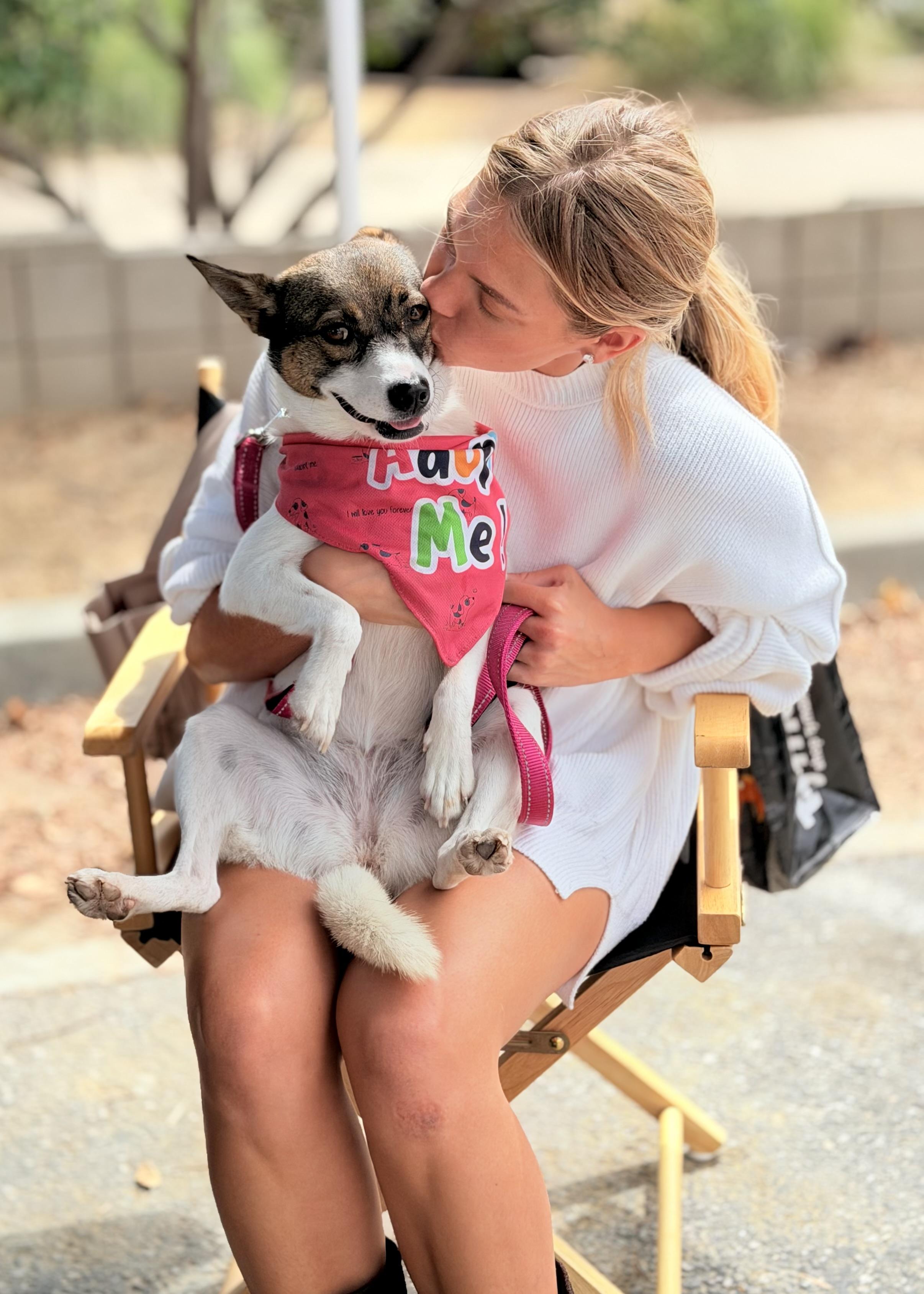 Enlarge Princess, a Adoptable Mixed Breed in Thousand Oaks, CA image 1/6