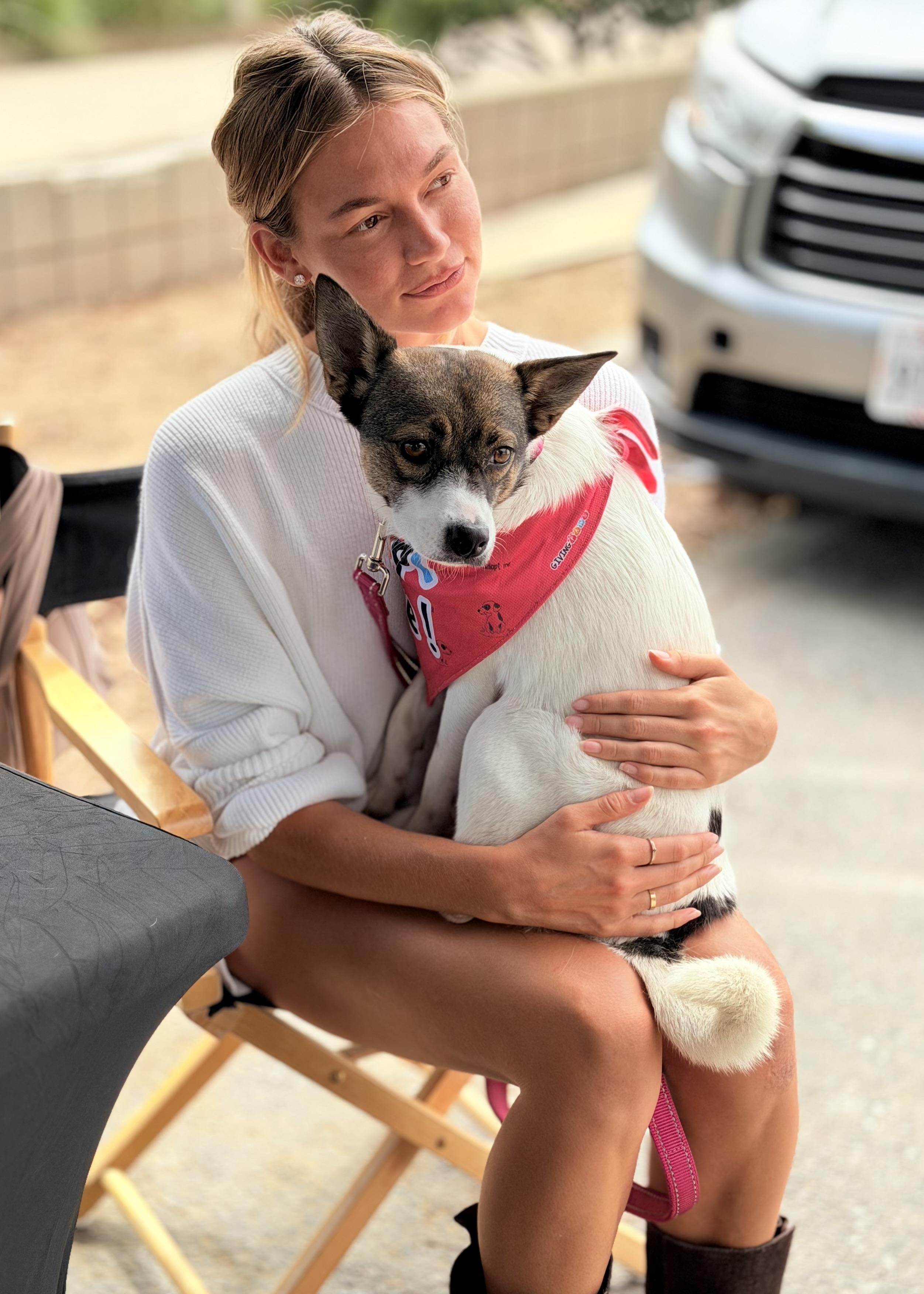 Enlarge Princess, a Adoptable Mixed Breed in Thousand Oaks, CA image 5/6