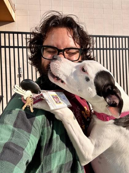 Milo, a Adoptable mixed breed in Wichita, KS image 3/3