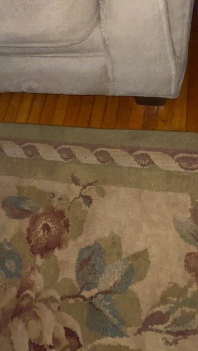 Enlarge Penny, an adopted Tabby in Beckley, WV video 3/3