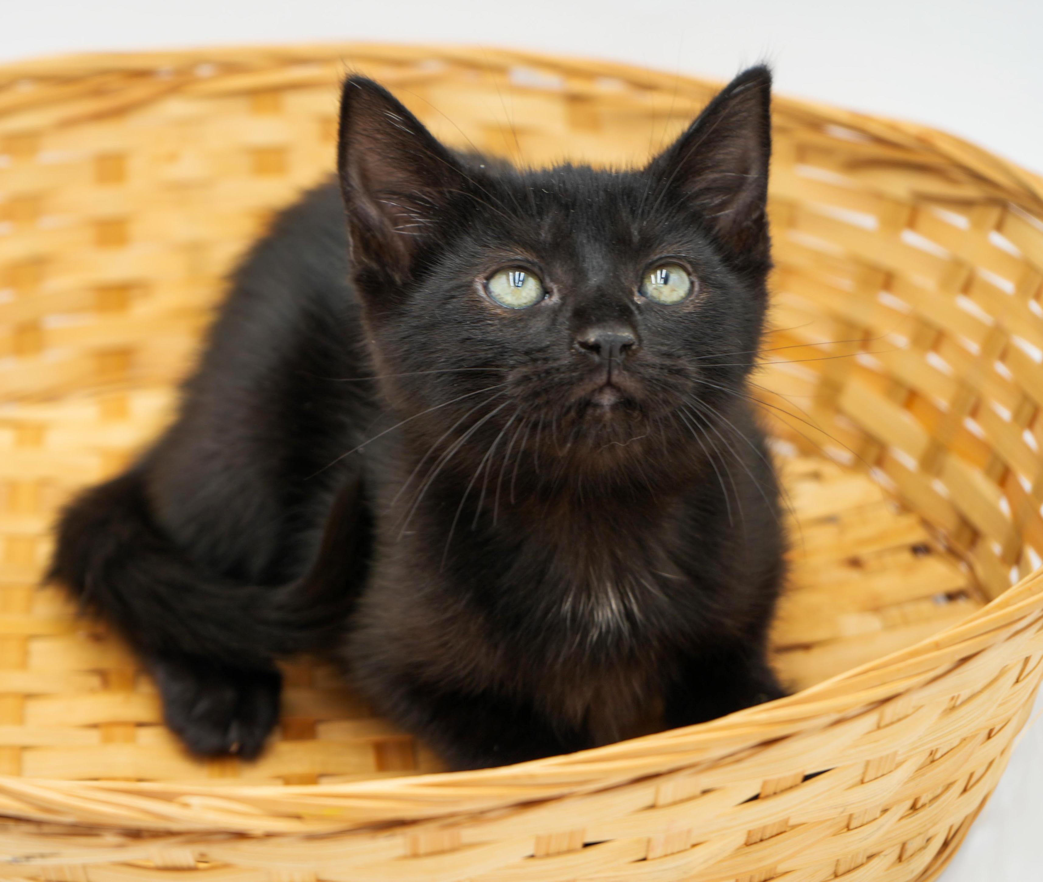 Ruth! Happiness in a licorice LOVER package!