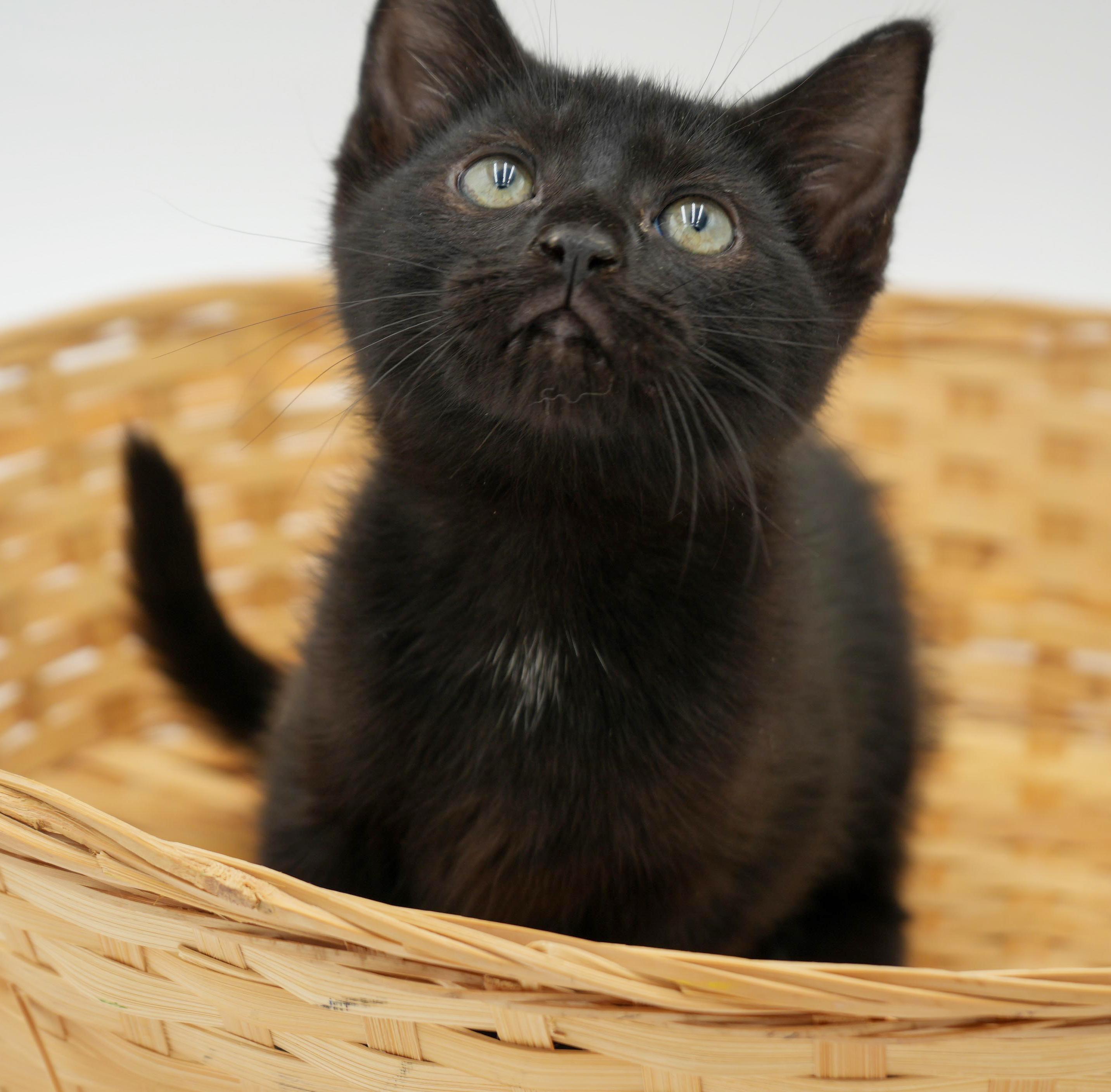 Ruth! Happiness in a licorice LOVER package!