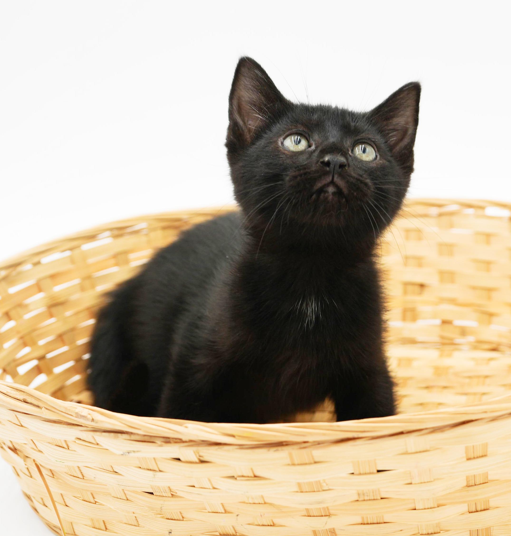 Ruth! Happiness in a licorice LOVER package!