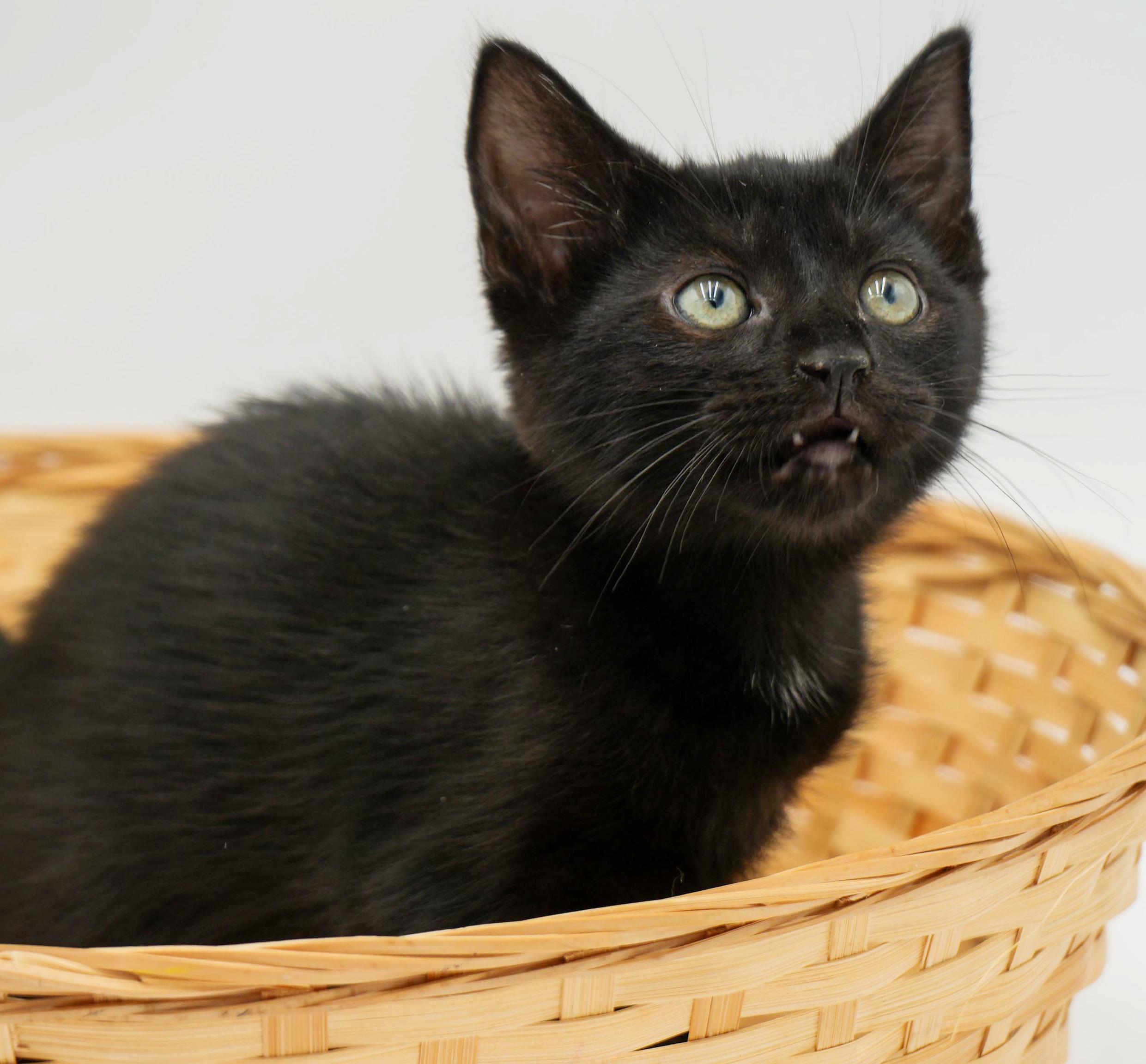 Ruth! Happiness in a licorice LOVER package!