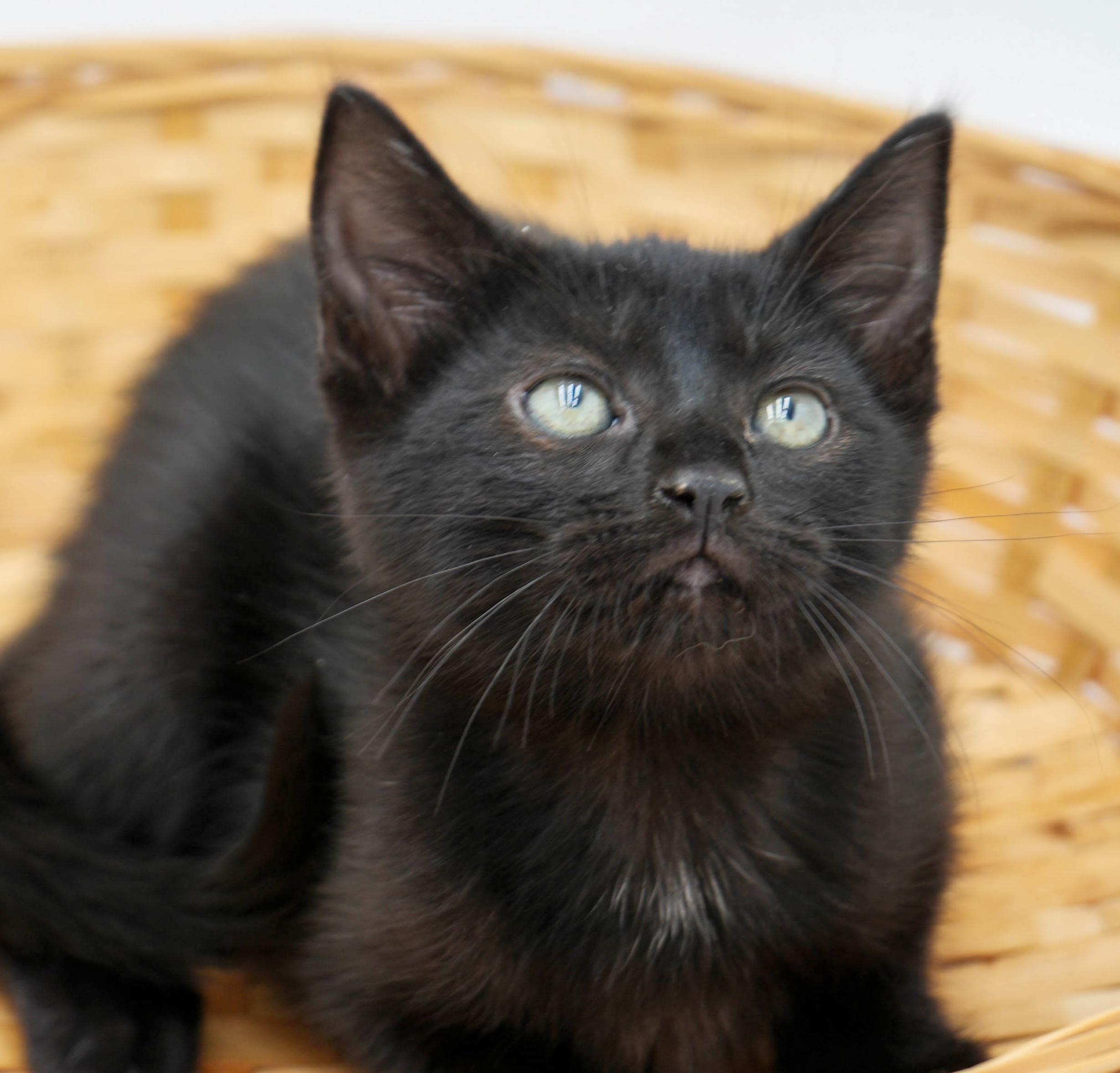 Ruth! Happiness in a licorice LOVER package!