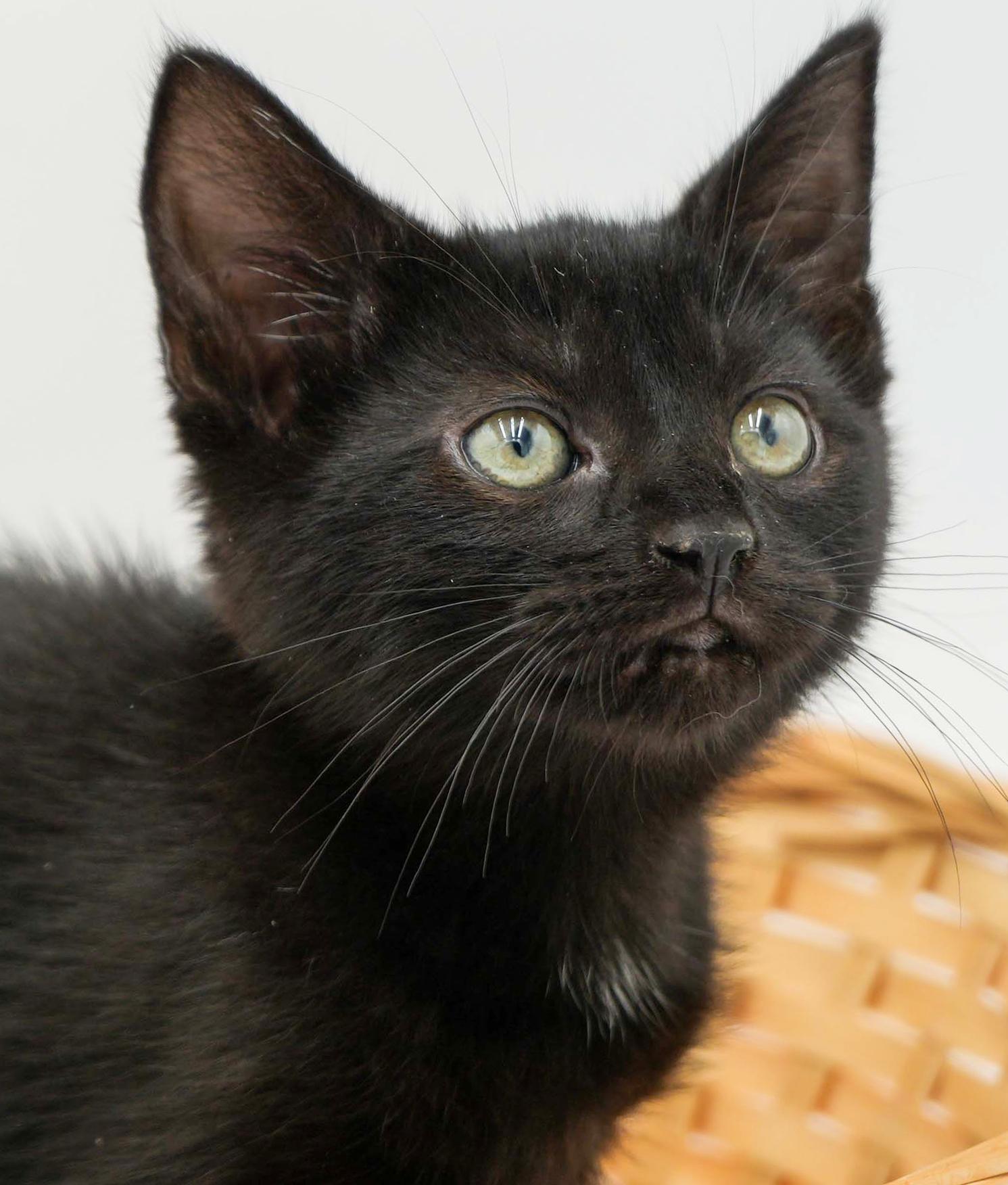 Ruth! Happiness in a licorice LOVER package!