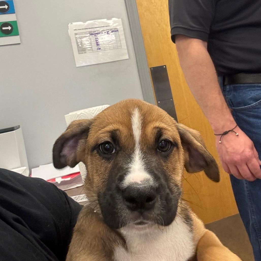 Butch — thumbnail 2