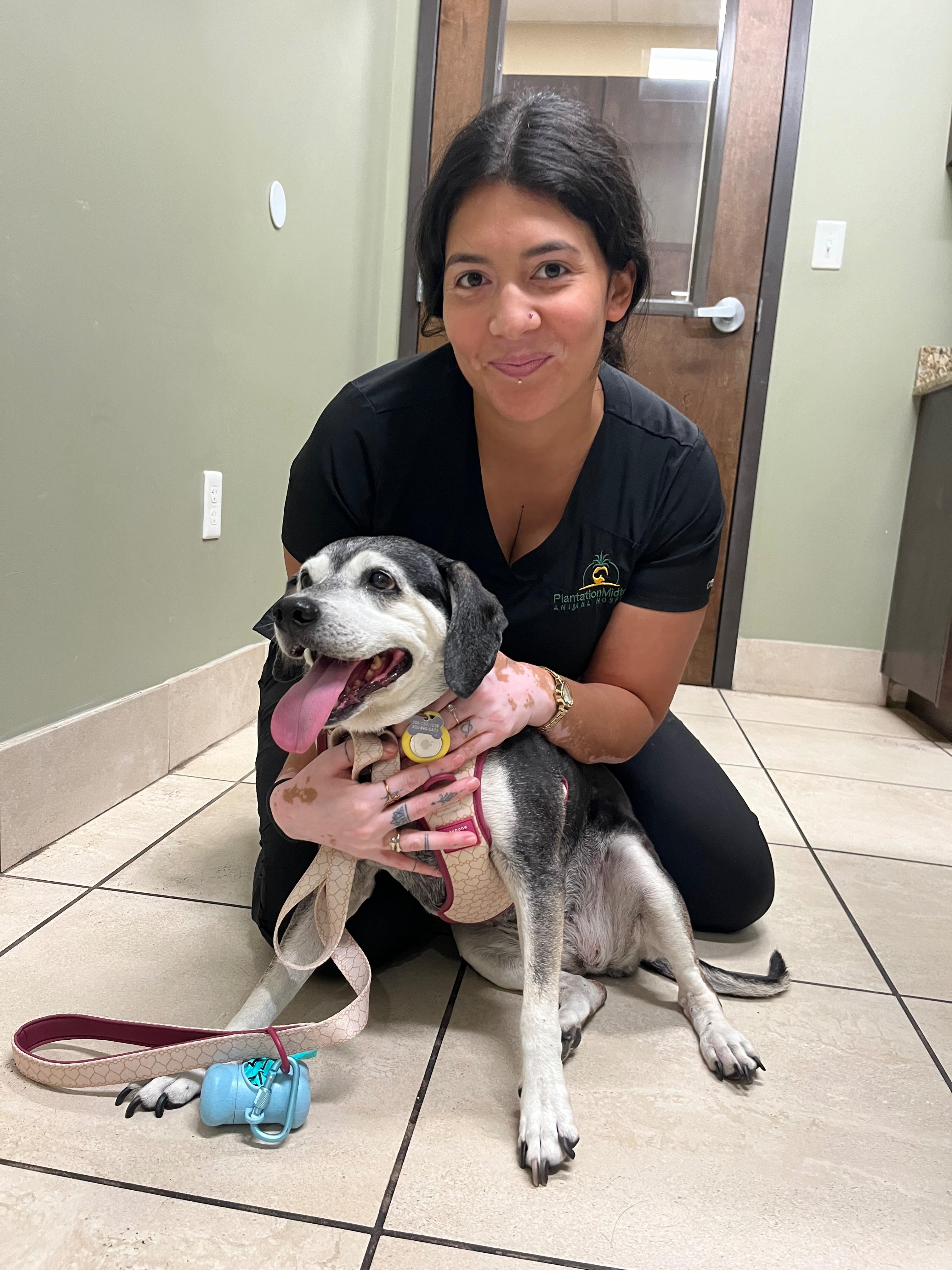 Enlarge Molly, a ADOPTABLE Beagle in Miami, FL image 3/6