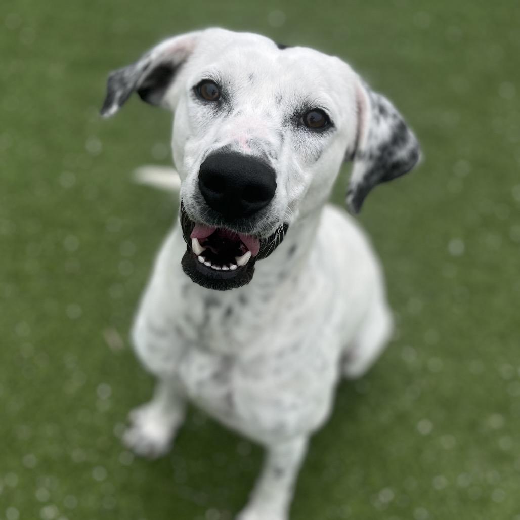 Dottie Hinson thumbnail 3