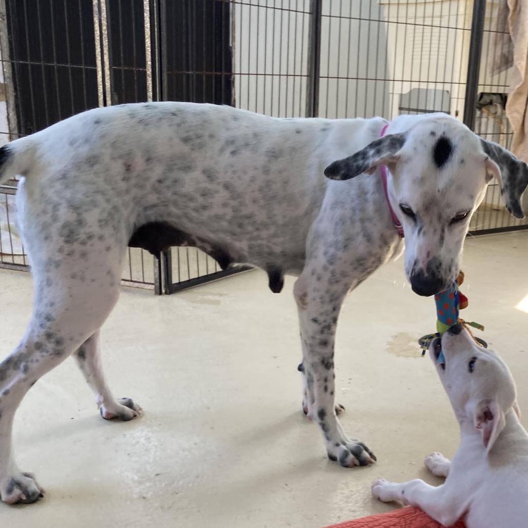 Dottie Hinson thumbnail 4