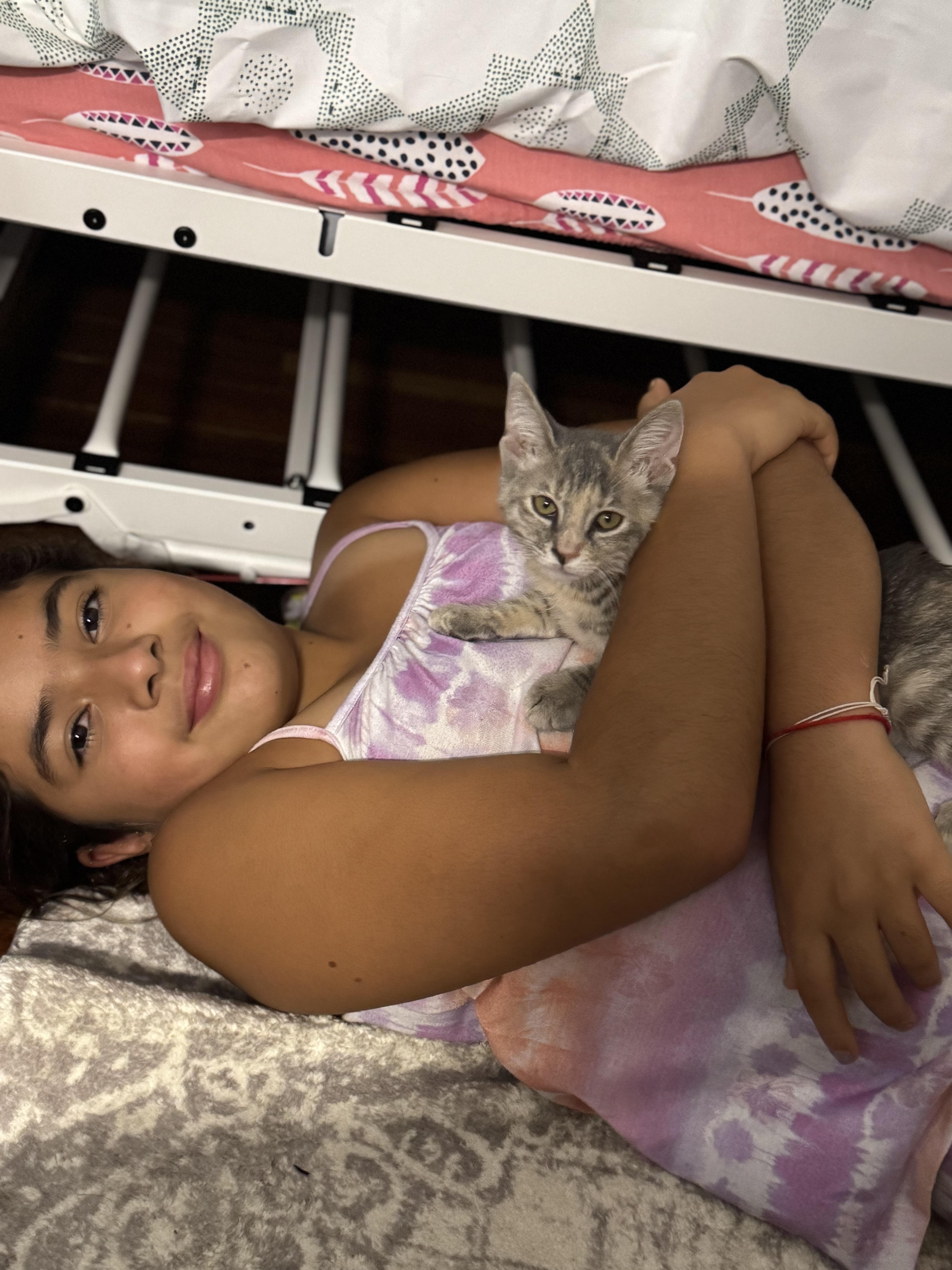 Enlarge Bronx River, a Adoptable mixed breed in Brooklyn, NY image 3/6