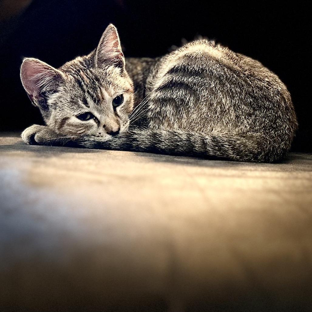 Phantom Found in Owatonna