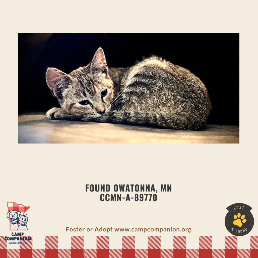 Phantom Found in Owatonna — thumbnail 2