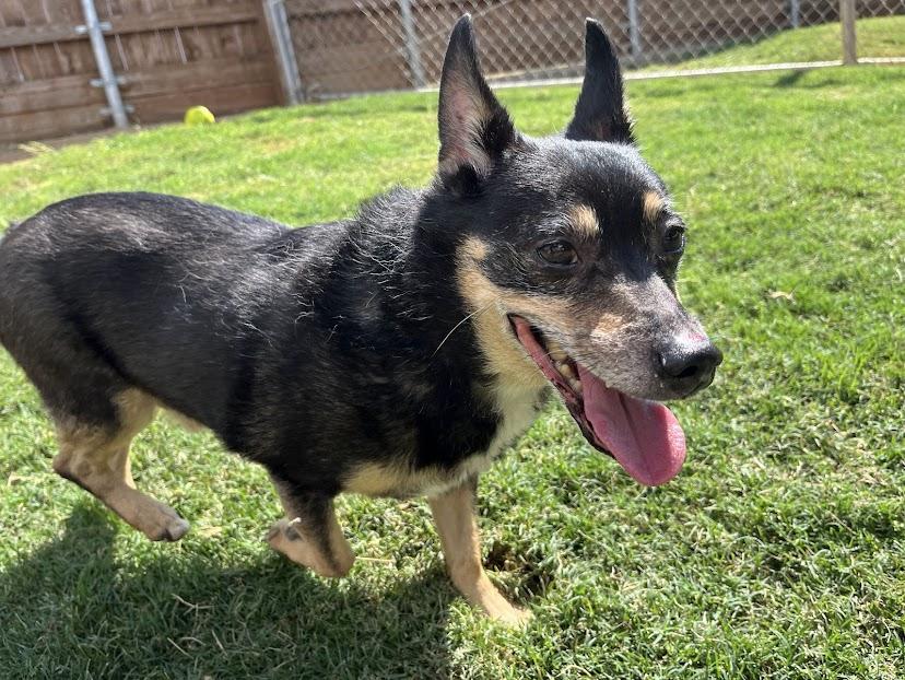 Lucky Leroy* A213205