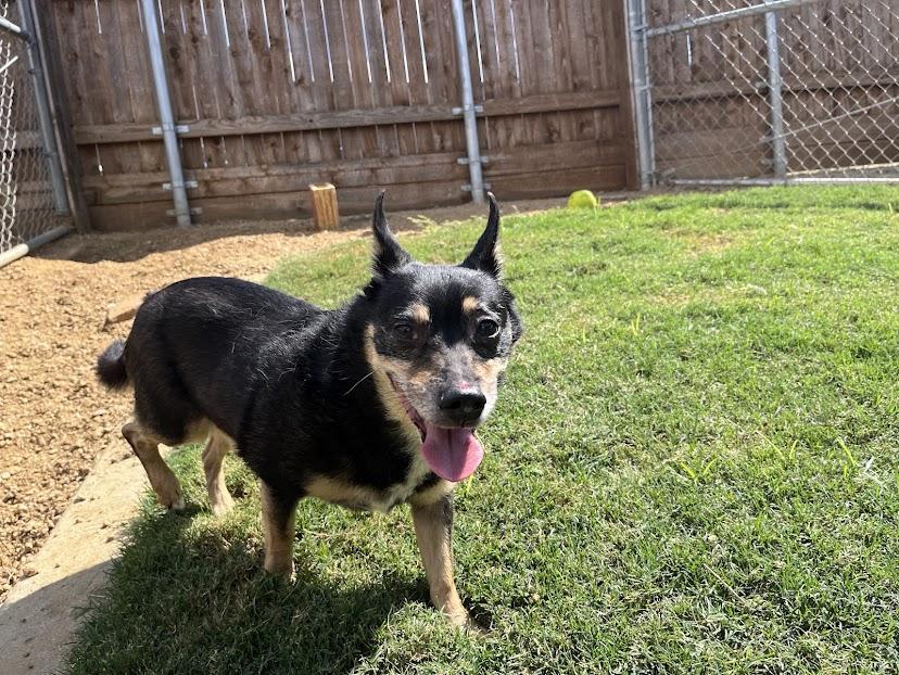 Lucky Leroy A213205