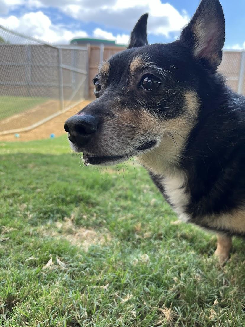 Lucky Leroy* A213205 5