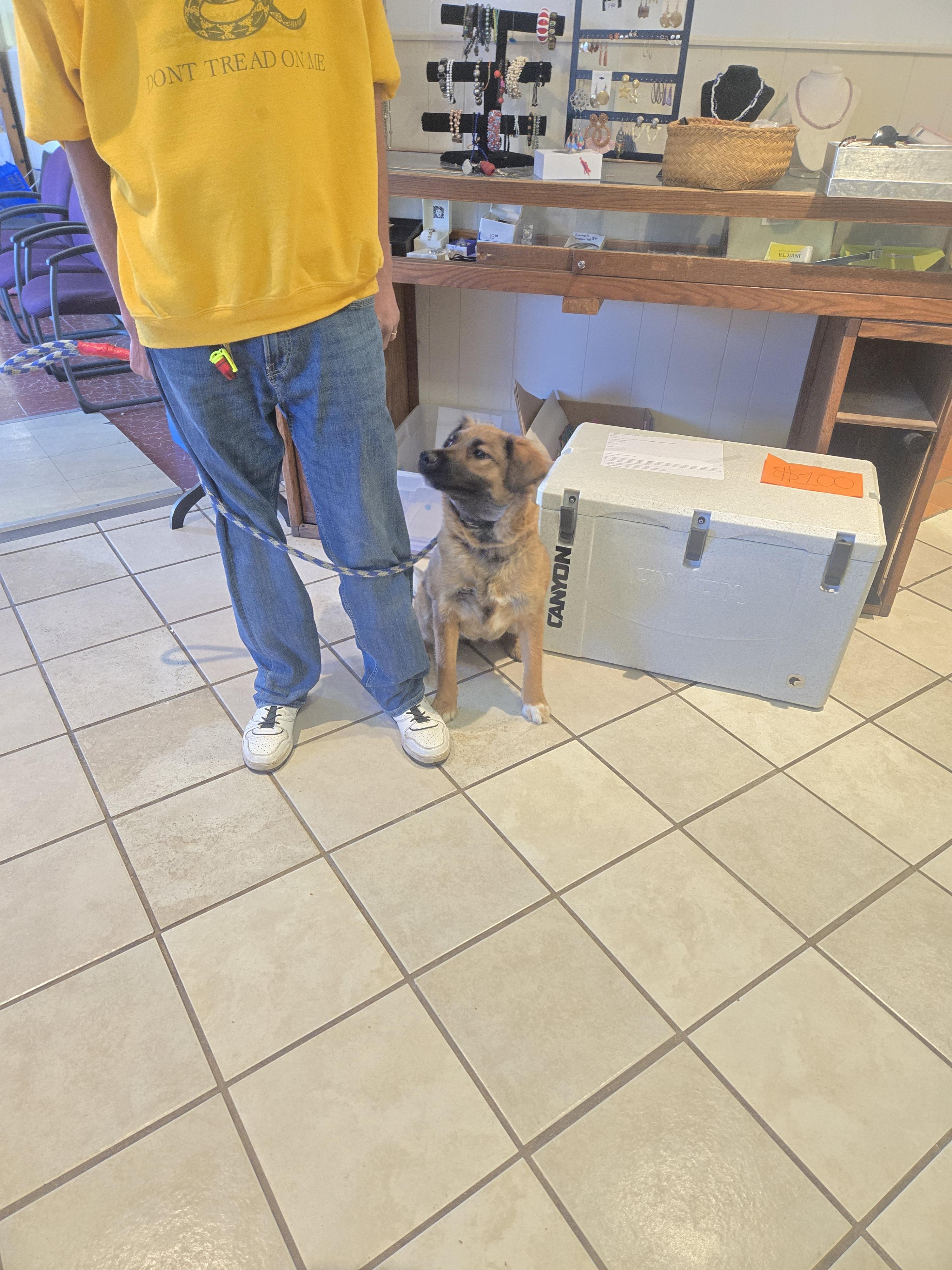 Bailey — thumbnail 2