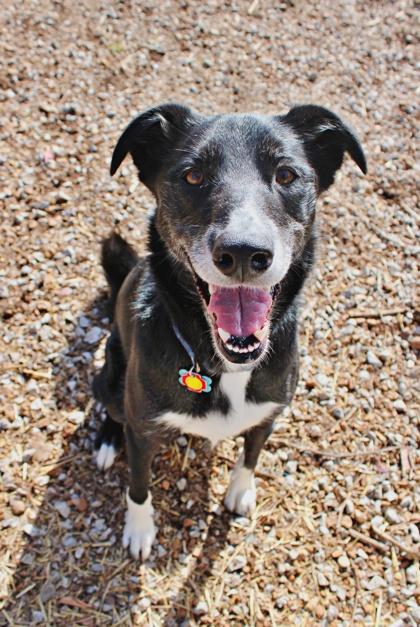 Tally — thumbnail 3