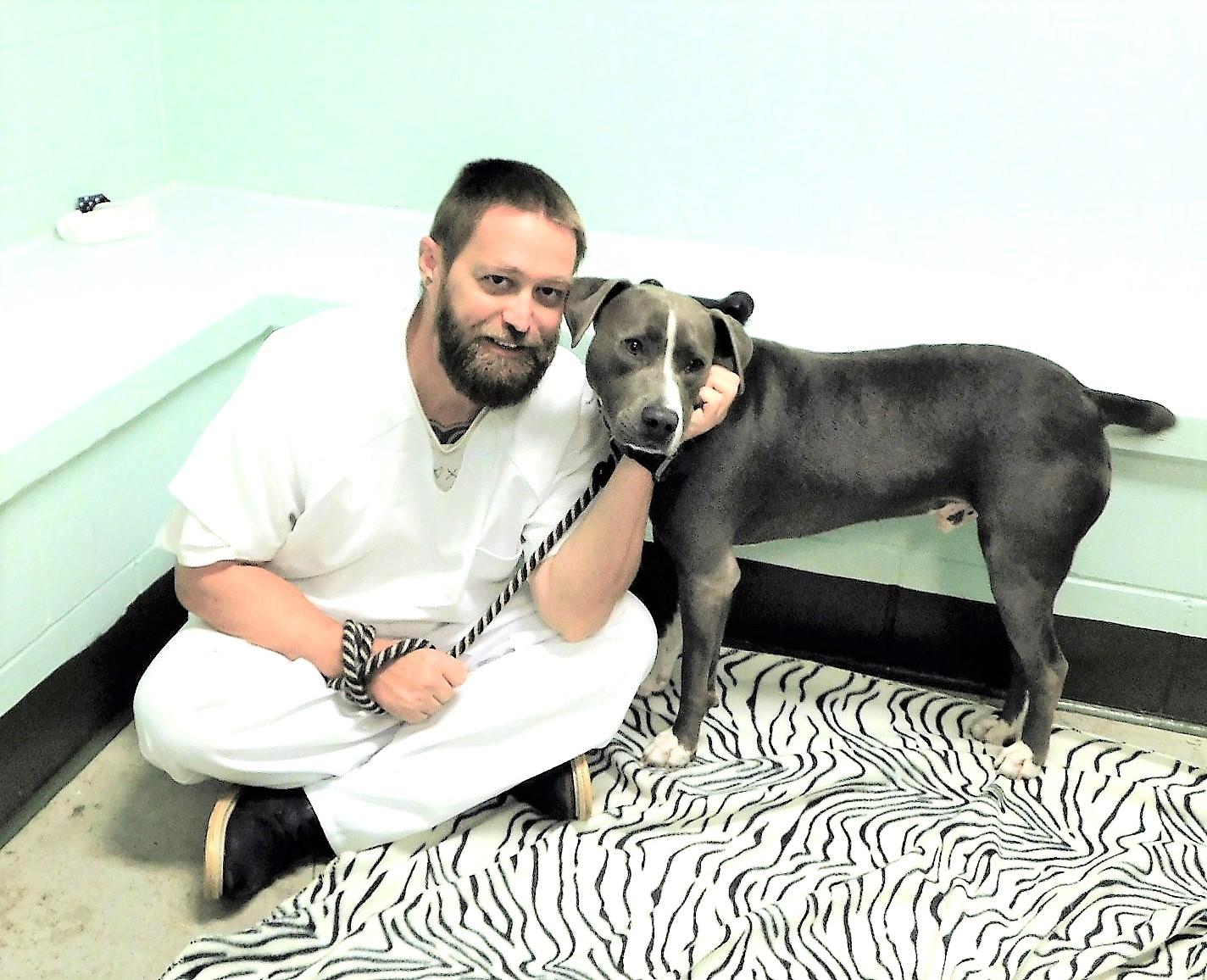 Sawyer, a Adoptable mixed breed in Milledgeville, GA image 2/6