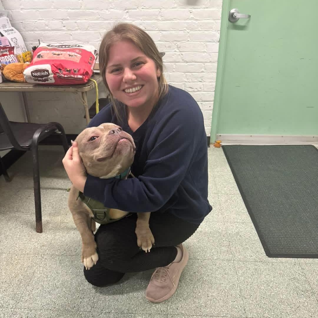 Enlarge Mr. Pebbles, a Adoptable mixed breed in Newfoundland, NJ image 6/6