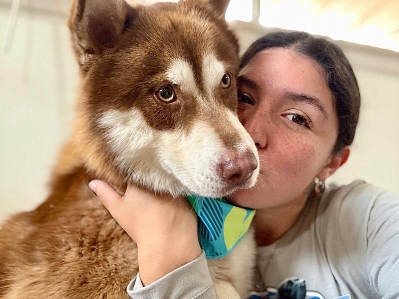 Harley Cuddle Bear — thumbnail 2