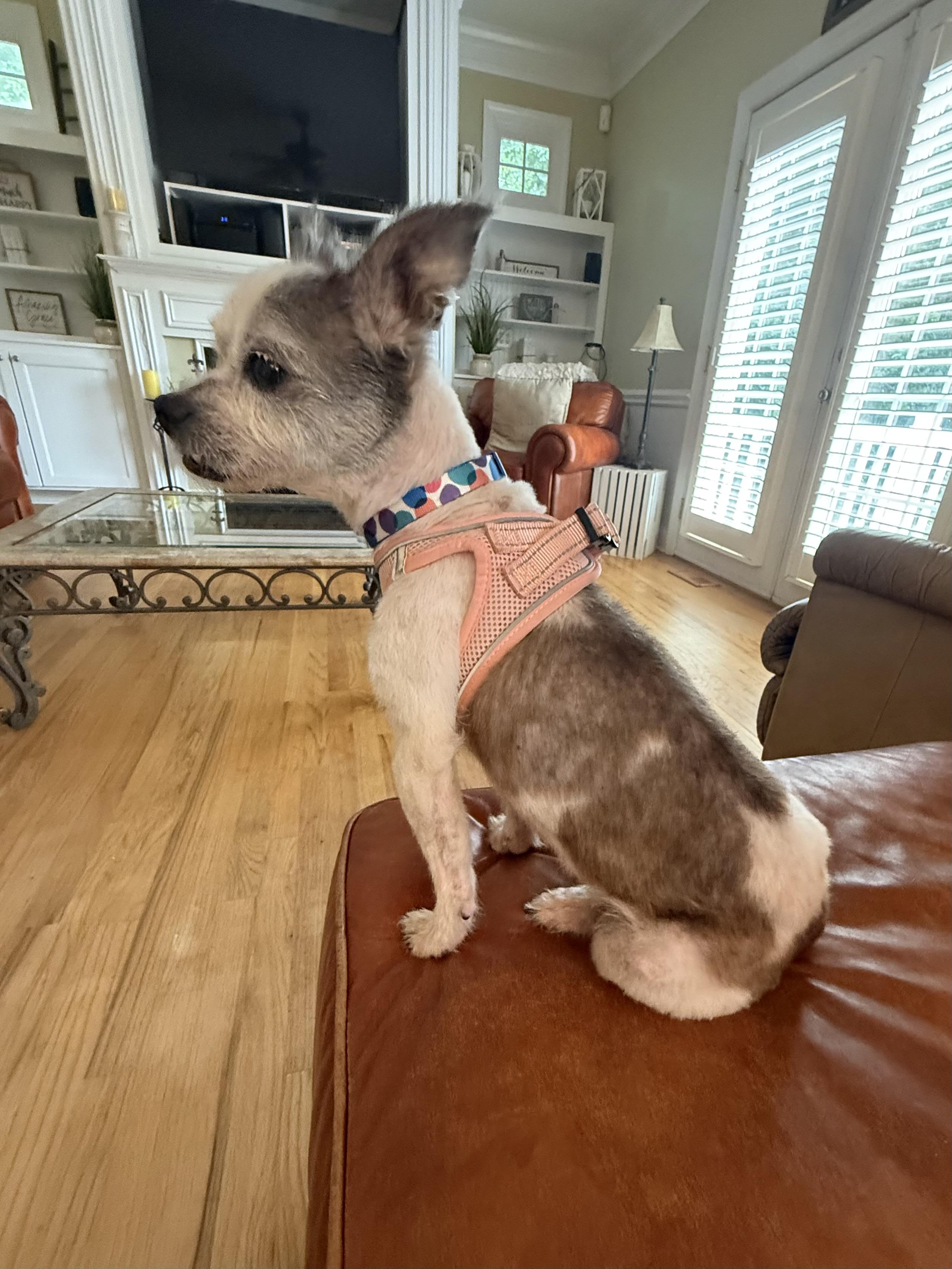 Maggie Mae photo 4