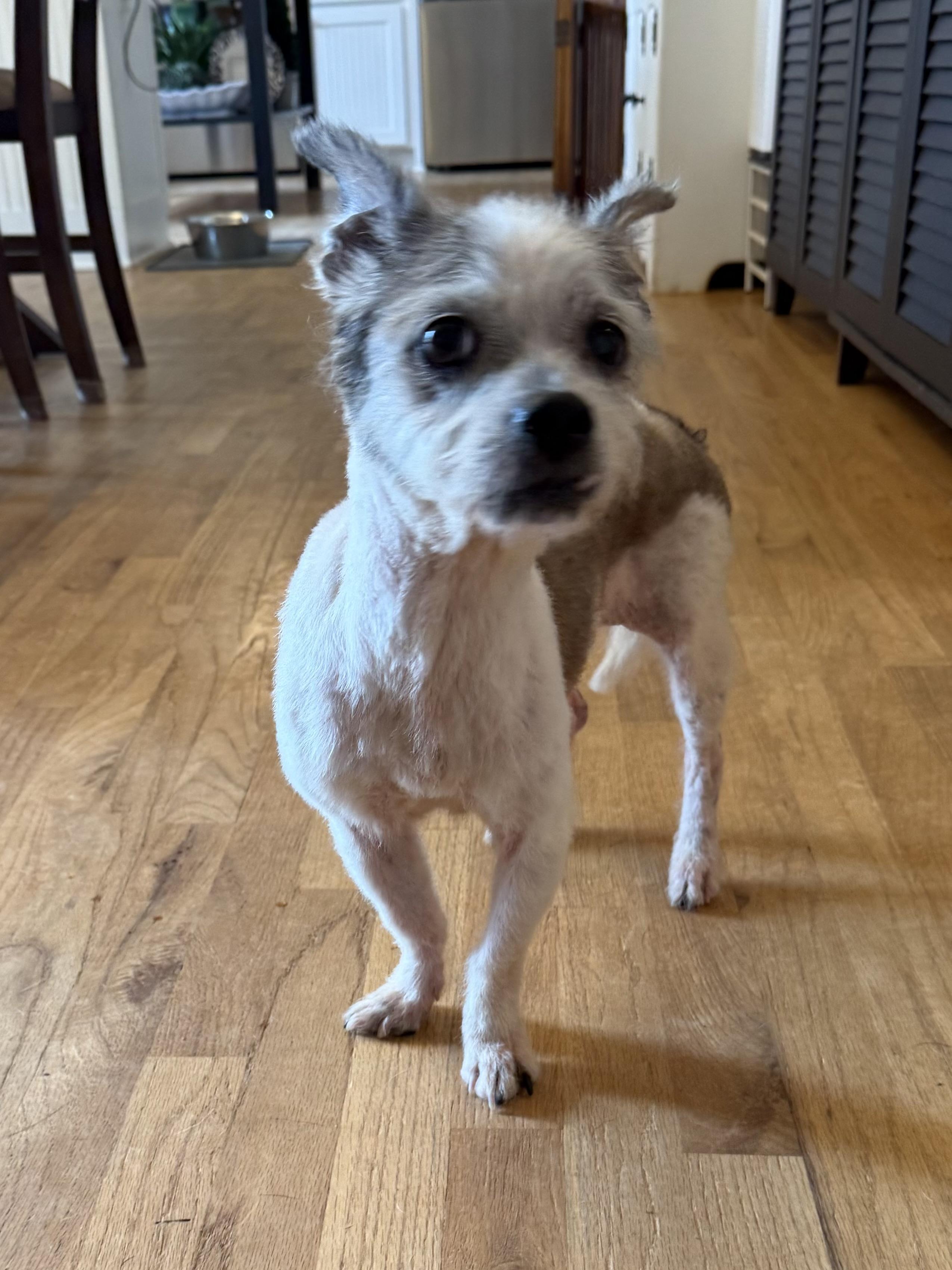 Maggie Mae photo 3