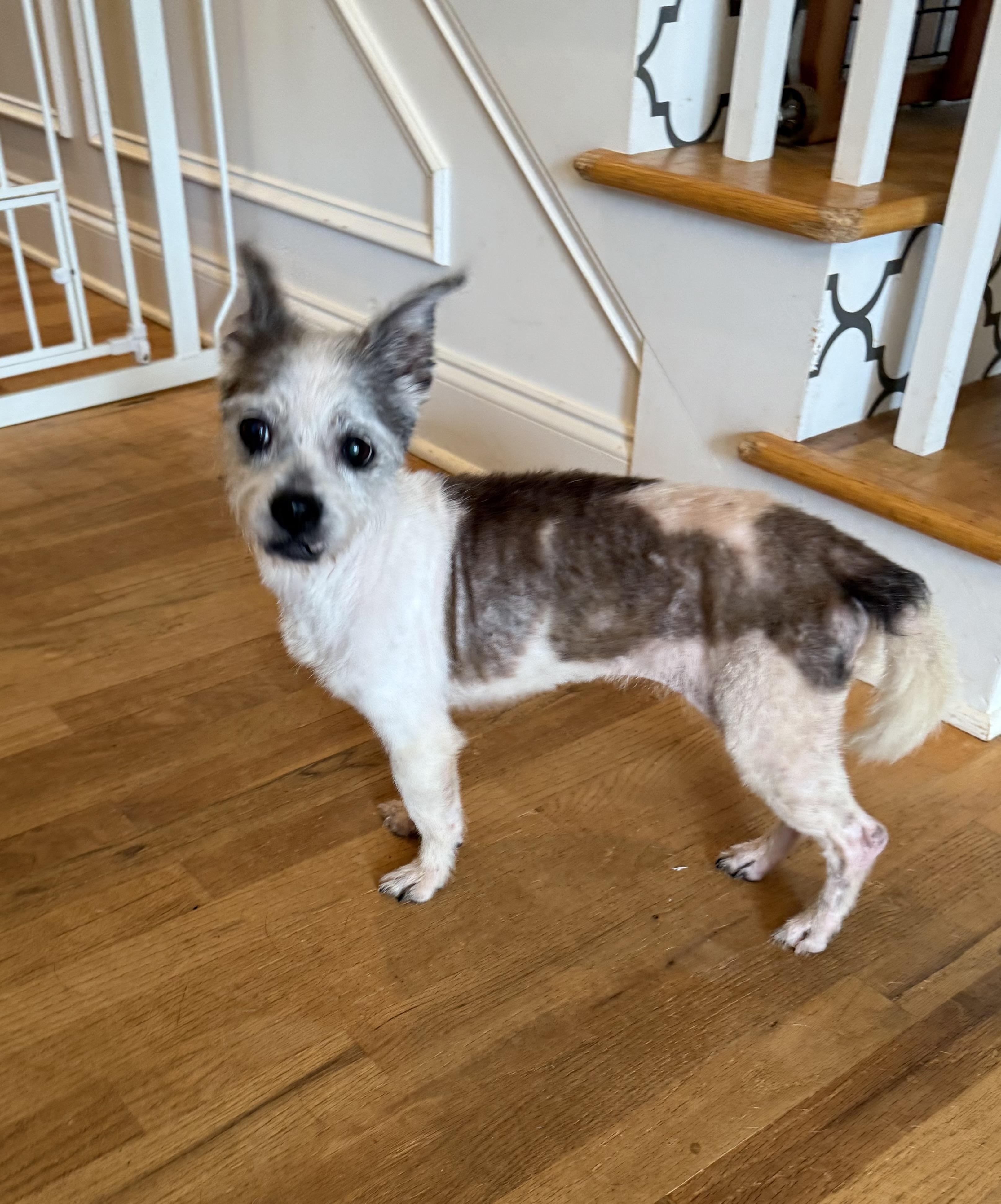 Maggie Mae photo 6