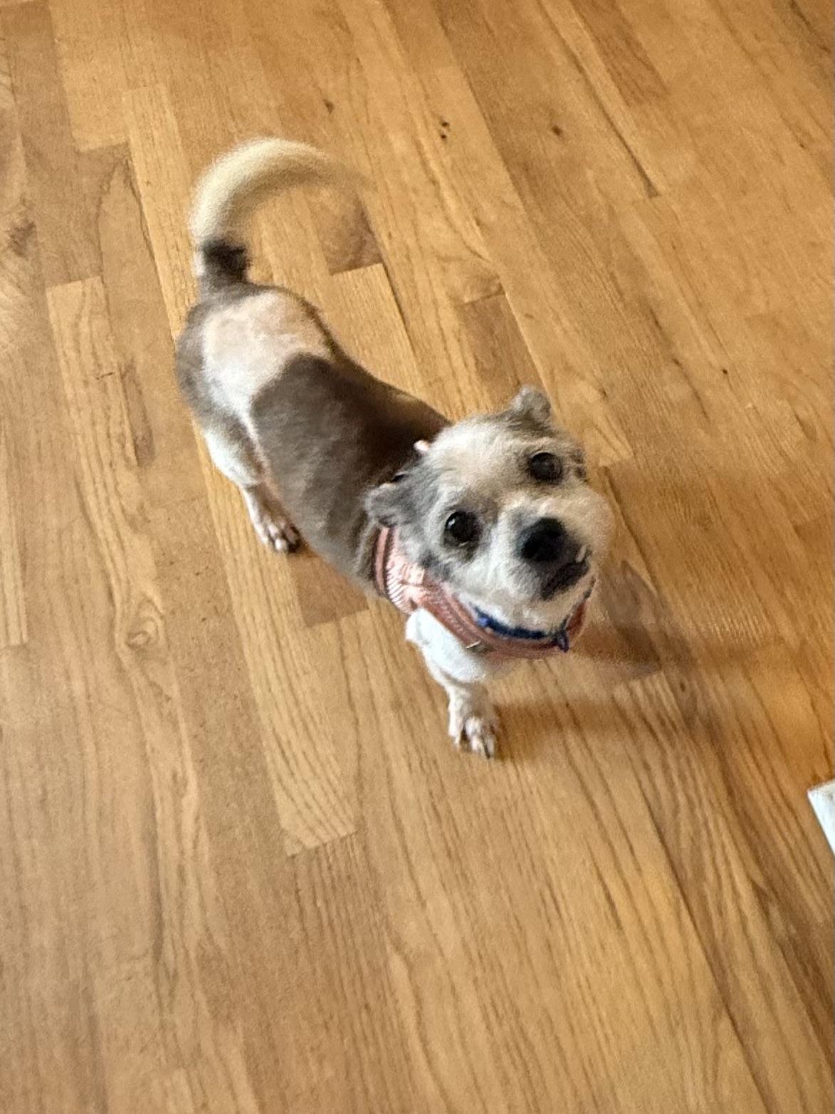 Maggie Mae photo 2