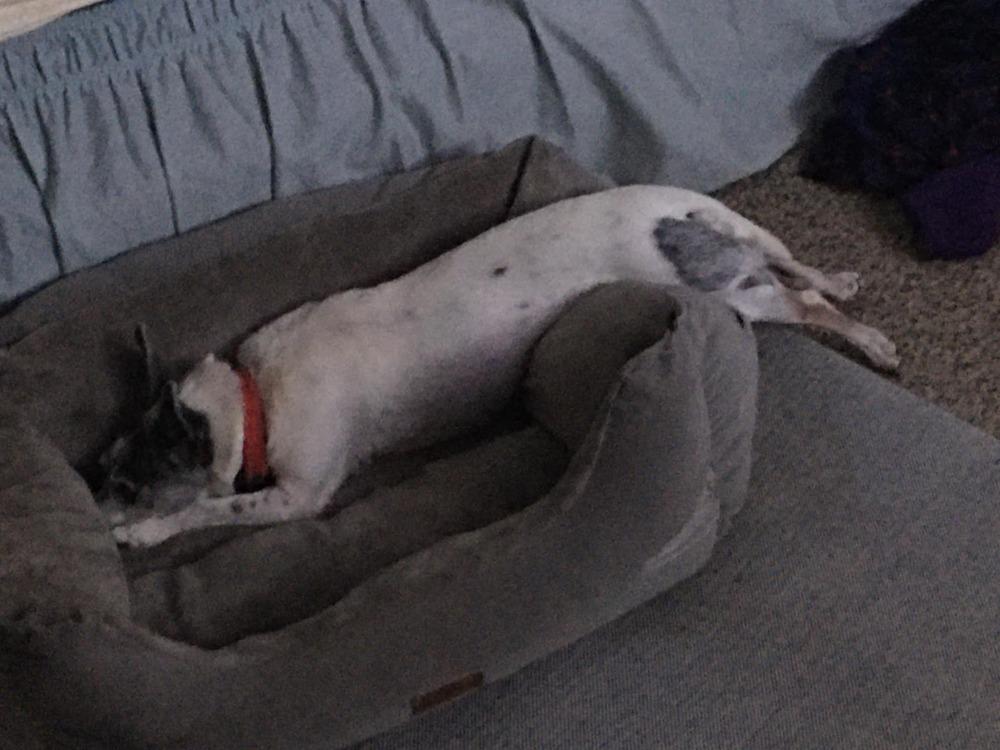 Chloe — thumbnail 3