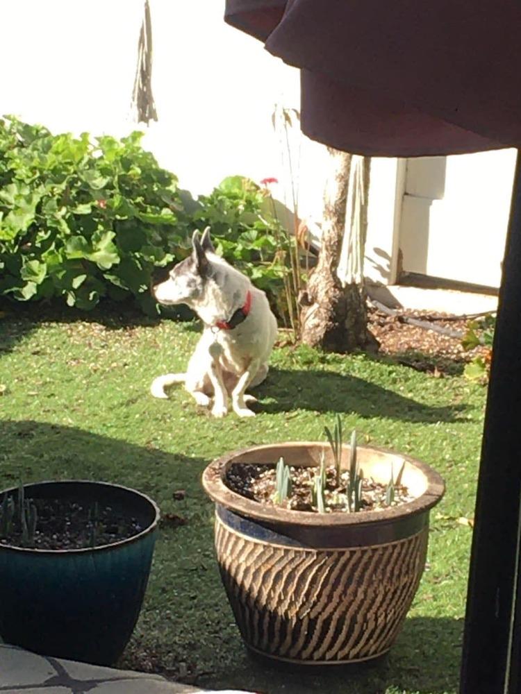 Chloe — thumbnail 4